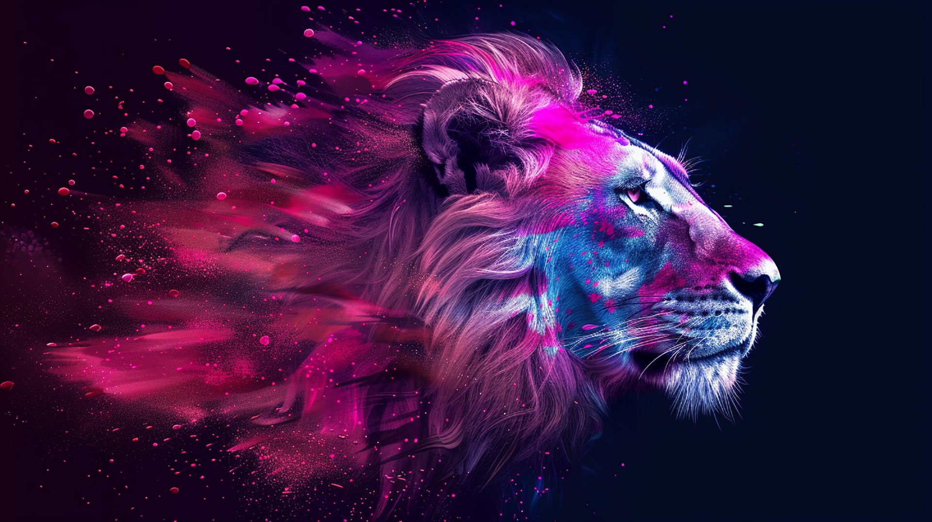 Magnificent 4k Lion Stock Photos