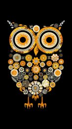 Majestic Owl Mobile Wallpaper for Motorola