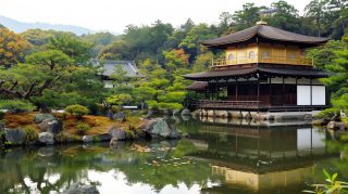 Serene Japanese Garden Landscape