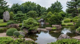 Traditional Japanese Garden Beauty