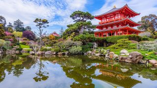 Japanese Garden with Tranquil Bridge