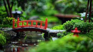 Elegant Japanese Garden Pathway