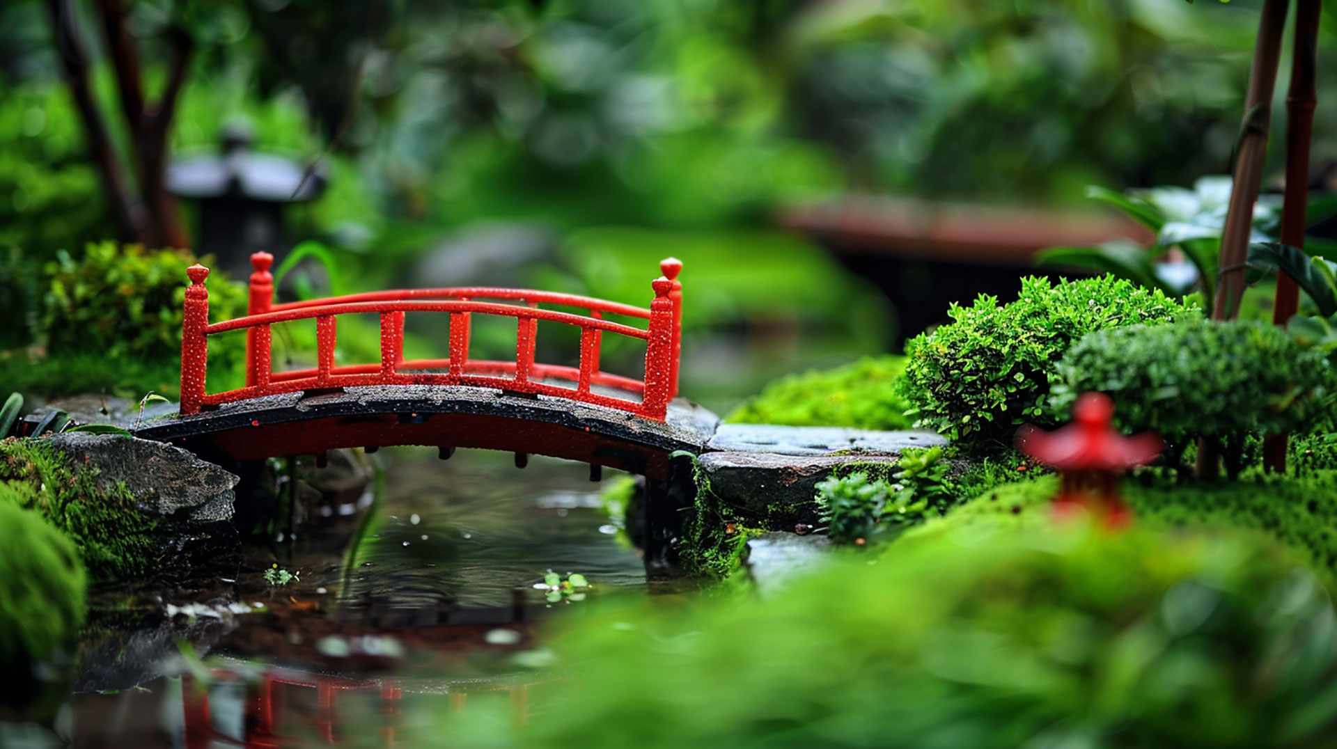 Elegant Japanese Garden Pathway