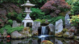 Reflections in Japanese Garden Pond