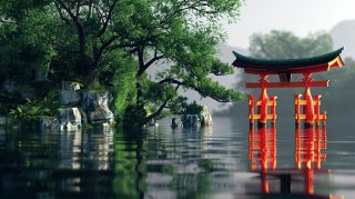 Morning Dew in Japanese Garden