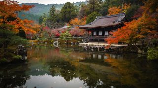 Tranquil Minimalist Japanese Garden