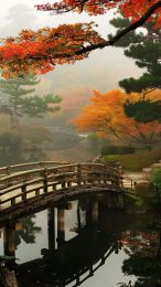 Japanese Garden Bonsai Beauty