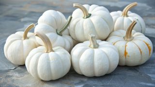 Elegant White Pumpkin: HD AI Wallpaper