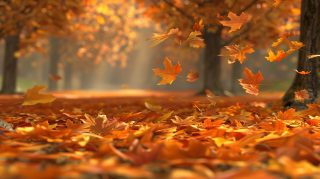 Autumn Harvest Cornucopia Wallpaper