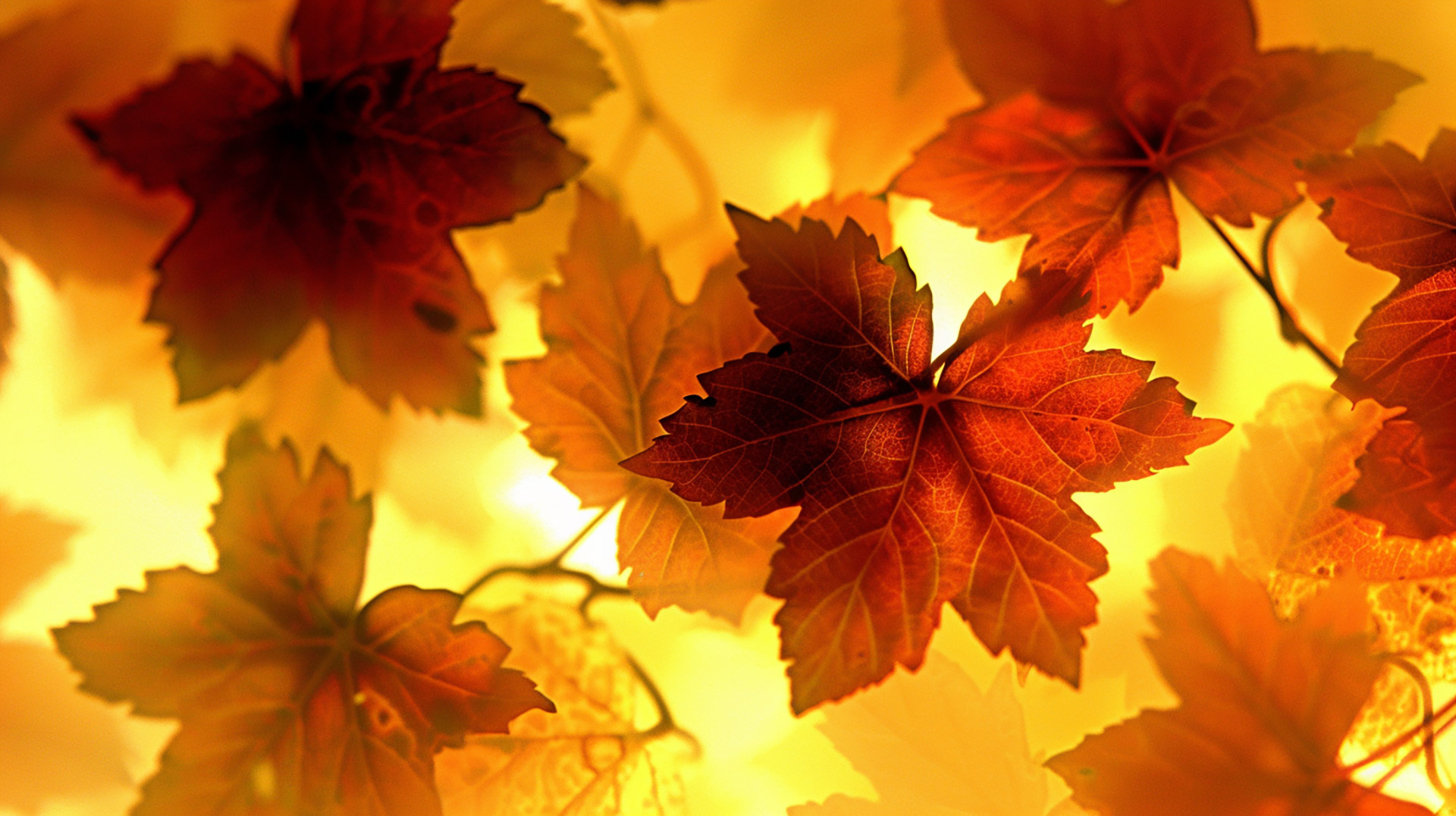 God's Creation: Autumn Scripture Landscape