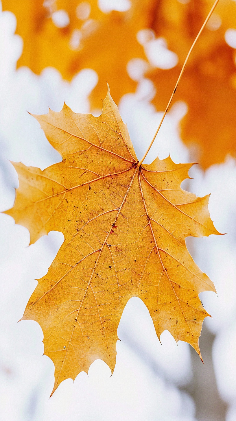 Heavenly Harvest: Scripture Desktop Background for Autumn