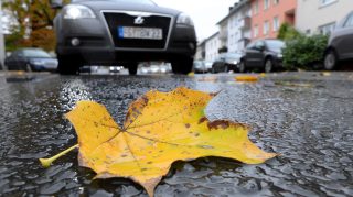 Whimsical Autumn Rainy Day Scene