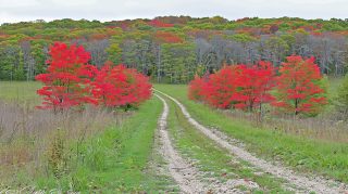 Autumn Harvest: Bountiful Farm Fields Wallpaper