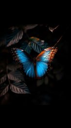 Neon Butterflies on a Black Backdrop