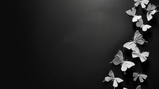 Ebony Elegance: HD Black Butterfly Image Wallpaper