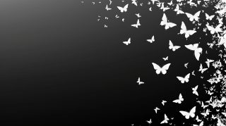 Midnight Flutter: Black Butterfly AI Desktop Wallpaper