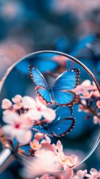 Azure Butterflies in the Morning Sky