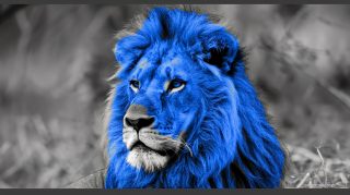 Majestic Blue Lion AI Image for Desktop