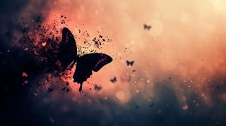 Ethereal Beauty: HD Butterfly Desktop Wallpaper