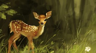 Deer Dreamland: Cartoon Deer HD Wallpaper