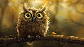 Colorful Cartoon Owl Artwork: 4K Resolution