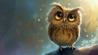 Playful Cartoon Owl Characters: Free Download