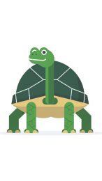 Vibrant Cartoon Turtle Retreat: Colorful Mobile Background