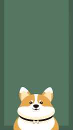 Vibrant Corgi Wallpaper for Android Phones