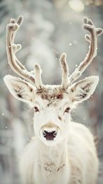 Happy Deer in Snowy Forest Mobile Background