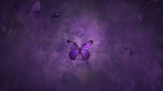 Shadowy Elegance: Dark Purple Butterfly Digital Background