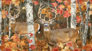 Forest Blend: Camo Deer Wallpaper