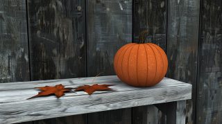 Vibrant Orange Pumpkins in Fall: Free HD Wallpaper