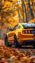 Black Ford Mustang Mobile HD Image