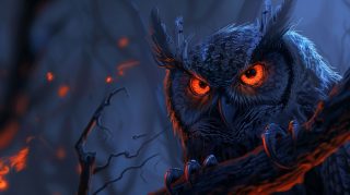 Owl Portraits: HD Wallpaper