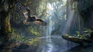 Ultra HD Owl Hunting Background: Free Download