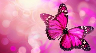 Rosy Wings: Pink Butterfly Digital Background