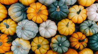 Vibrant Pumpkin Colors: HD Desktop Wallpaper