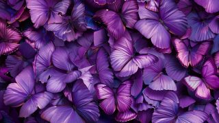 Lavender Wings: AI Purple Butterfly Image Wallpaper