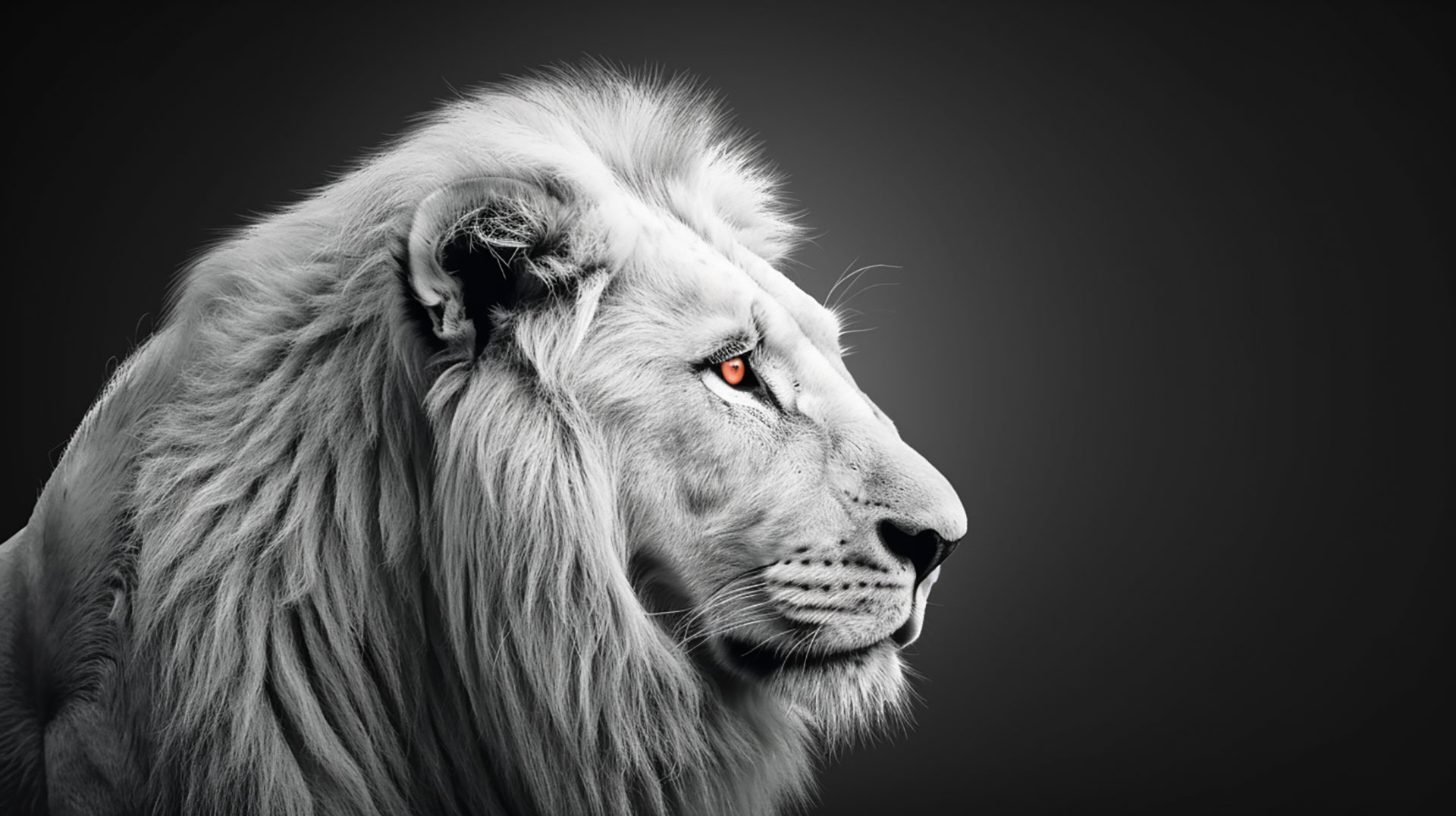 White Lion Portrait Digital Background