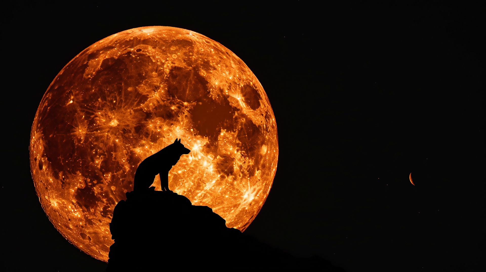 Nocturnal Majesty: Wolf with Moon HD Wallpaper