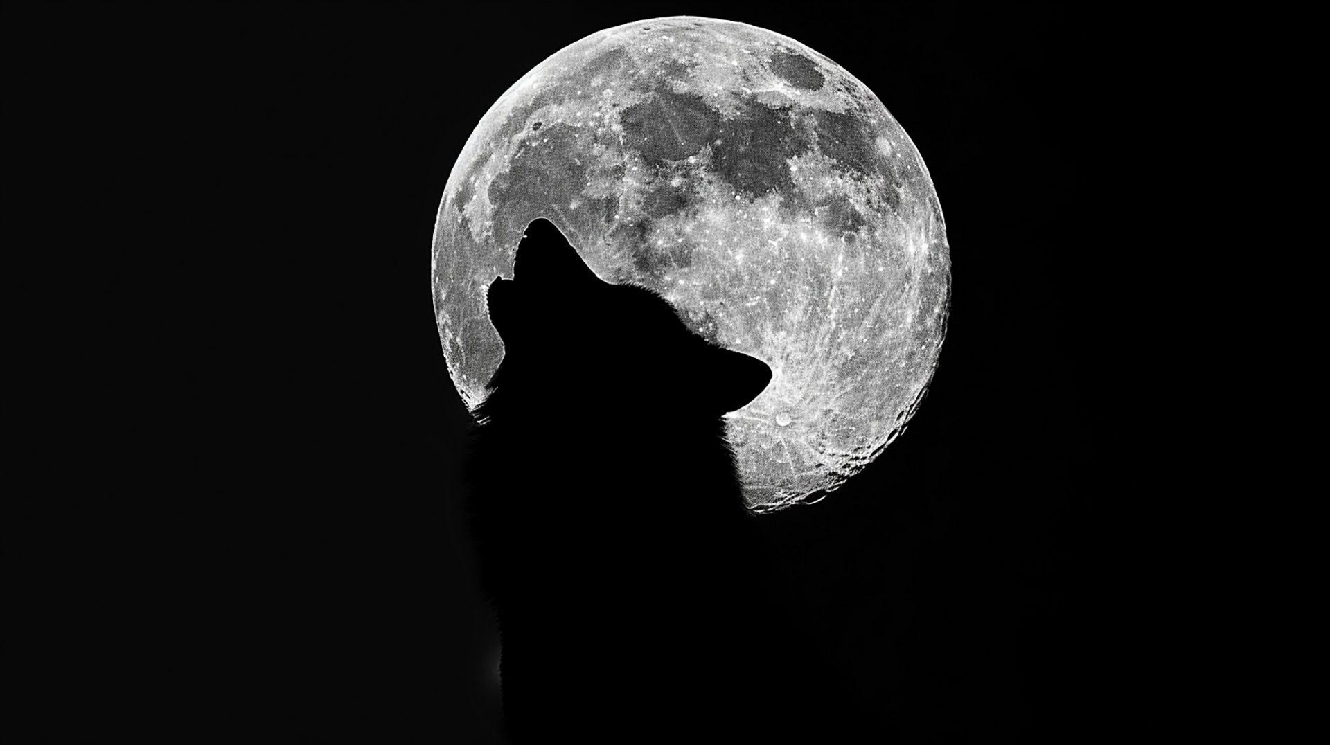 Lunar Howl: Wolf with Moon HD Wallpaper