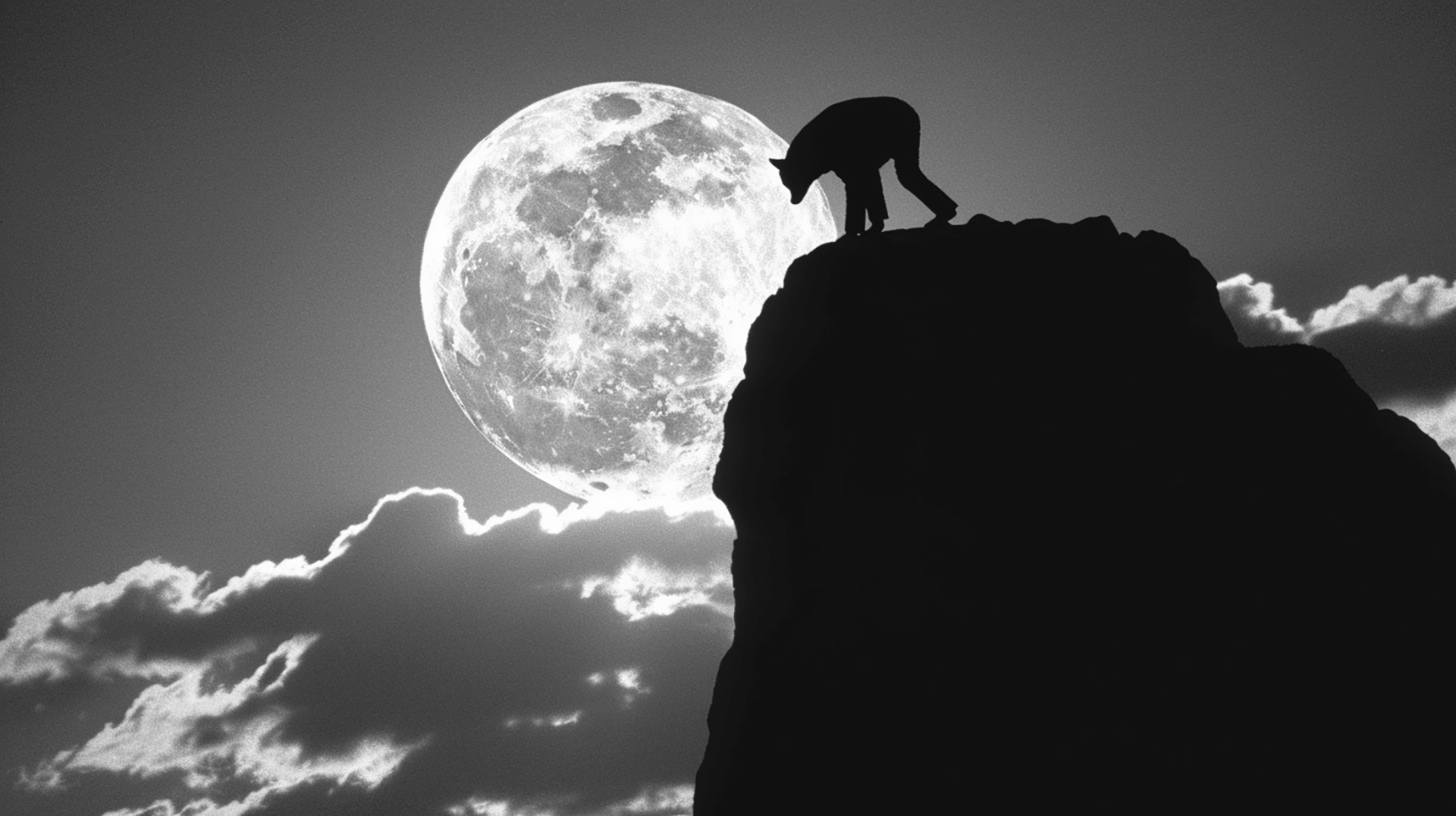 Lunar Sentinel: Wolf with Moon Wallpaper Download
