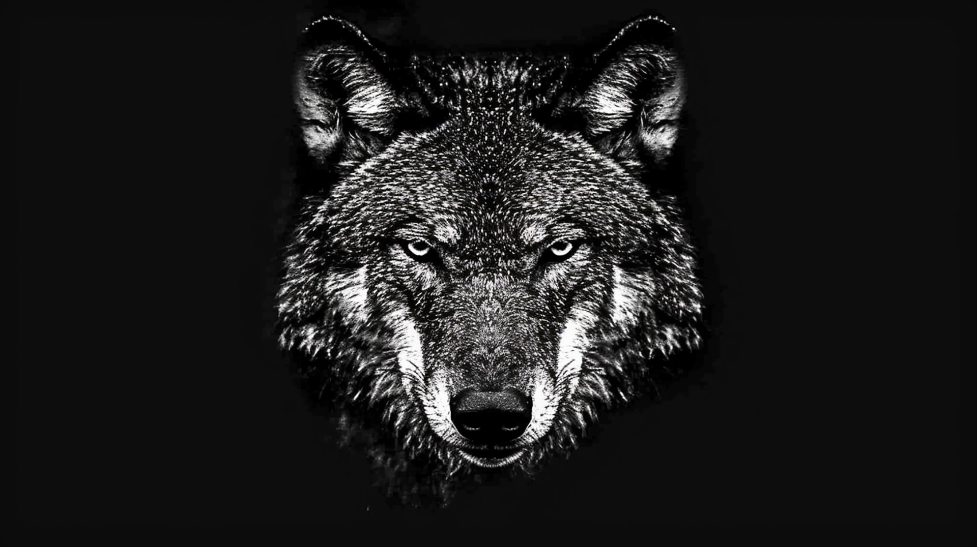 Nocturnal Vigil: Wolf and Moon Desktop Photo