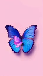 Vintage Aesthetic Butterfly Lock Screen Wallpaper