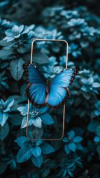 Dreamy Butterfly Android Wallpaper