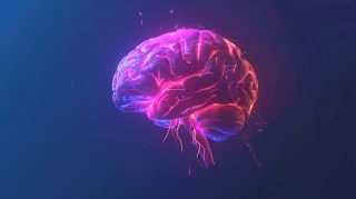 Download 4K Brain AI Wallpaper for Desktop