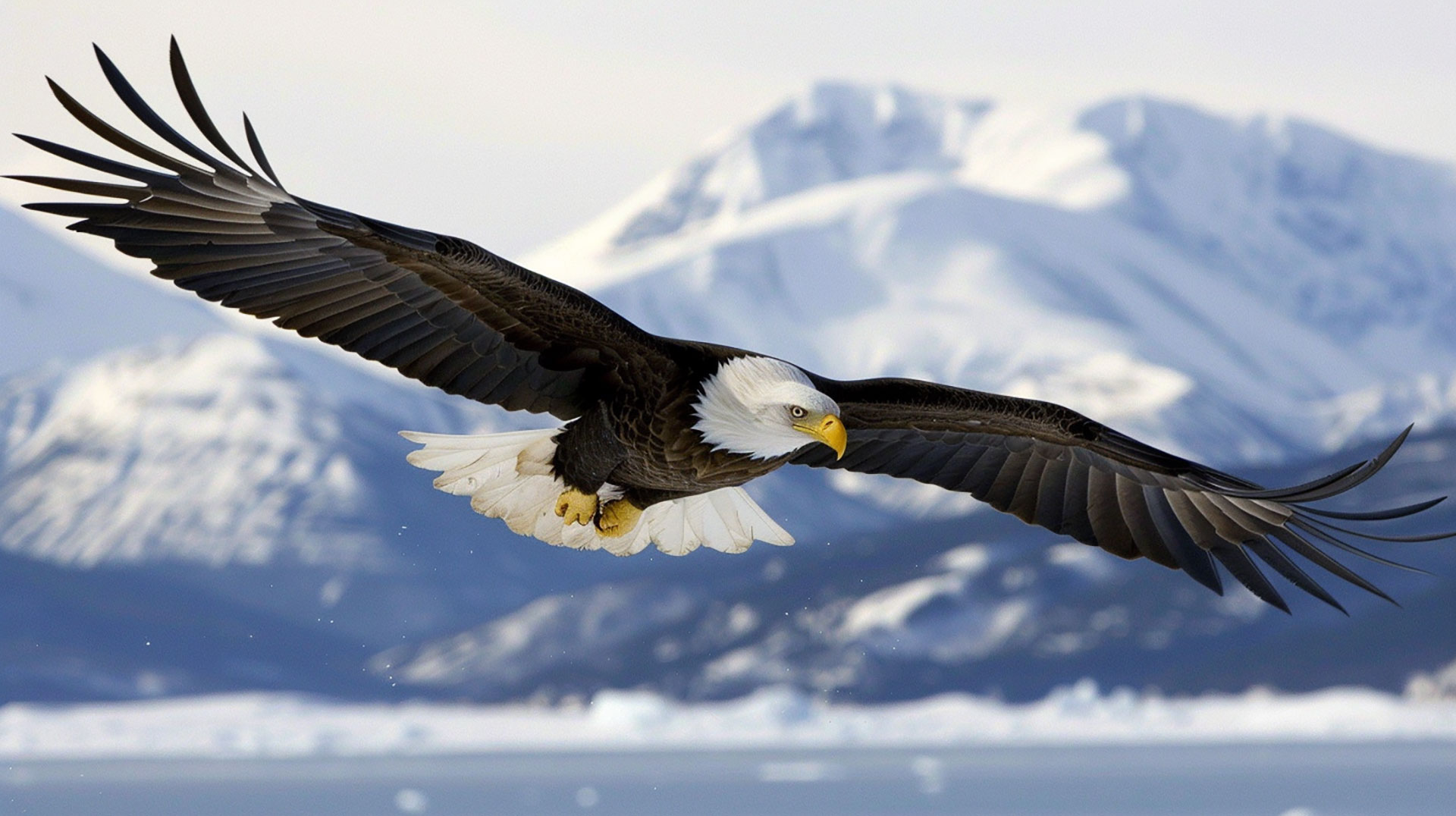 Bald Eagle with Mountains: 4K AI Image