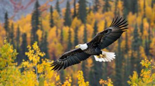 Bald Eagle in Winter: AI Desktop Wallpaper