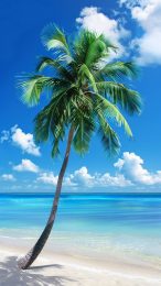 Serene Beach Palm Tree AI Wallpaper