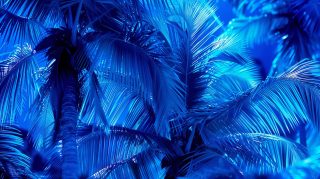 Tranquil Blue Palm Tree AI Wallpaper